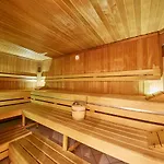 Apartment Petit Saalbach-Hinterglemm